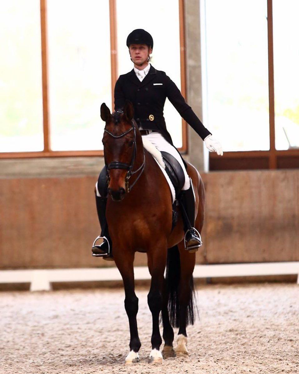Bild Nach 2 Jahren Turnierpause für Delmagio, haben wir letztes Wochenende eine M** gewonnen und im Anschluss gab es noch einen 4. Platz in einer S*. Glückwunsch an die Besitzer Fam. Brandenburg. 

#jakobhetzel#dressage#dressagehorse#horse#dressurpferd#workhard# #Turnier#competition#lovemyjob#happy equestrian#dressagerider#sportpferdeausbildung#Trainer#kepitalia