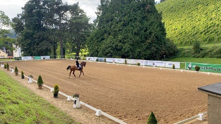 Bild Mit 70% und einem 2. Platz in einem langen Grand Prix, bei starker Konkurrenz bedarf es keine Worte. Für Rhetorik sind andere verantwortlich. Danke an das gesamte Team von Andreas von der Lahr für dieses familiäre Turnier. Danke an alle Unterstützer, Beteiligten und Gönner. Es war einfach  toll! #grandprix #jakobhetzel #dressurreiten #piaffe