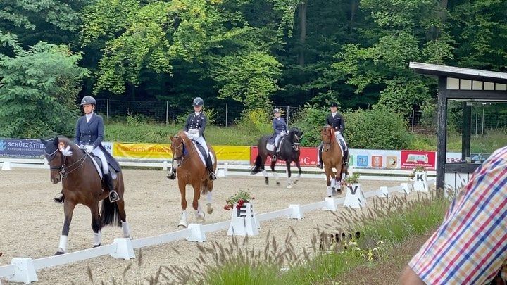 Bild Wieder eine schöne Grand Prix Schleife! Diesmal 5.Platz im Grand Prix Special !  #jakobhetzel#Dressage#dressagehorse#horse#dressurpferd#workhard#Turnier#competition#lovemyjob#dressagerider#sportpferdeausbildung#Trainer#dressurreiter #equestrianlife#piaffe#passage #flyingchanges#horsesofinstagram #kepitalia#reitsport#reiten
